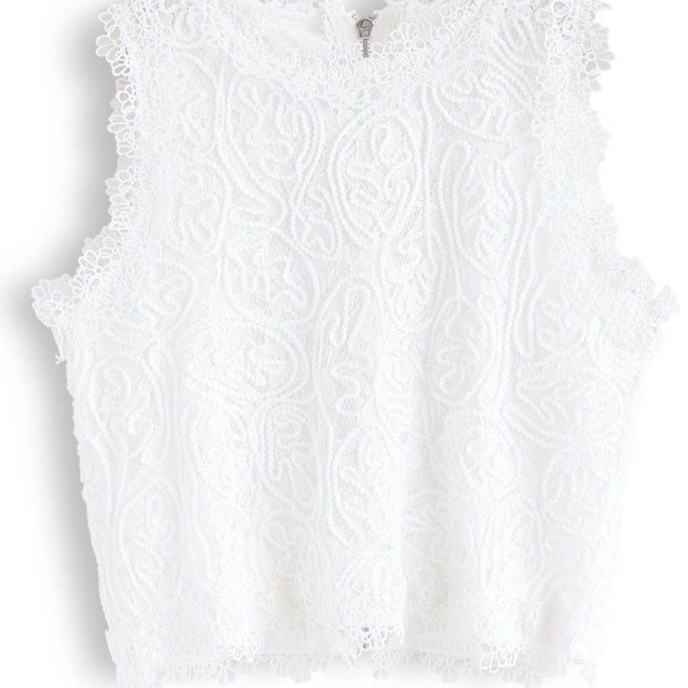 Diva Full Lace Crop Top